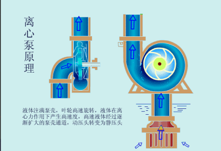 6ab338f9e4ae0.gif